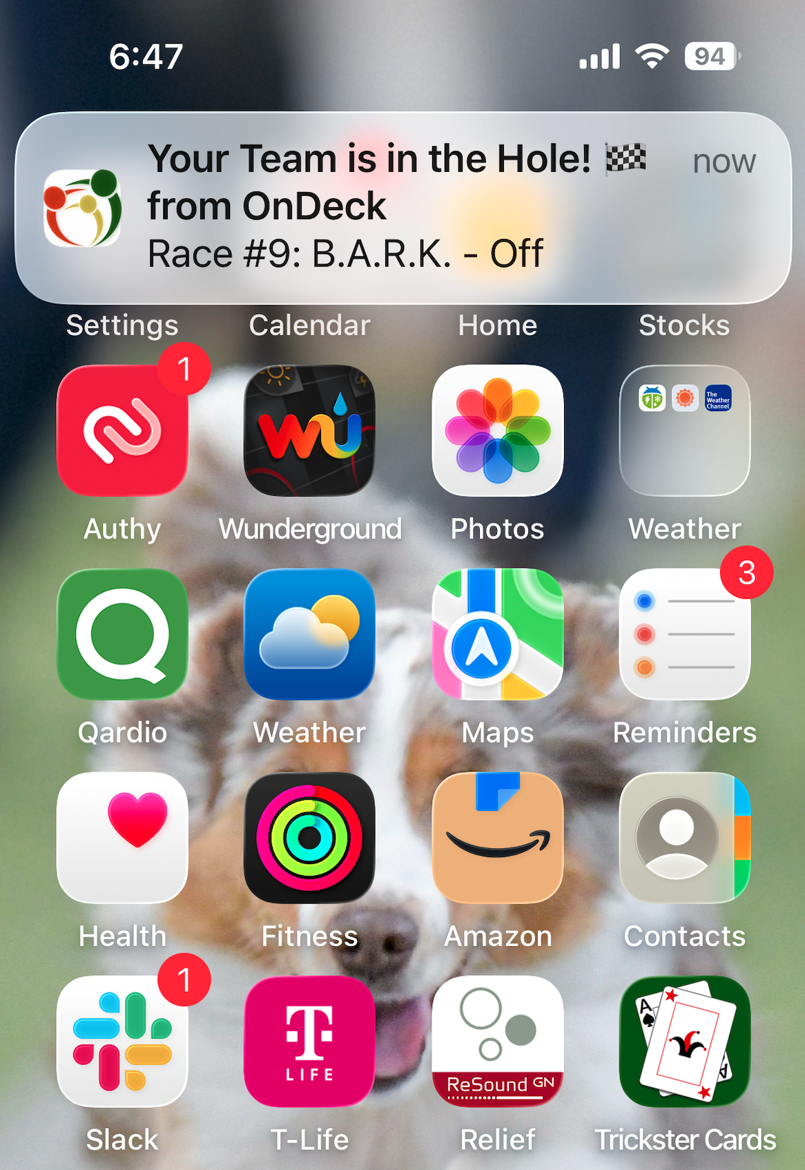 iOS Push Notification